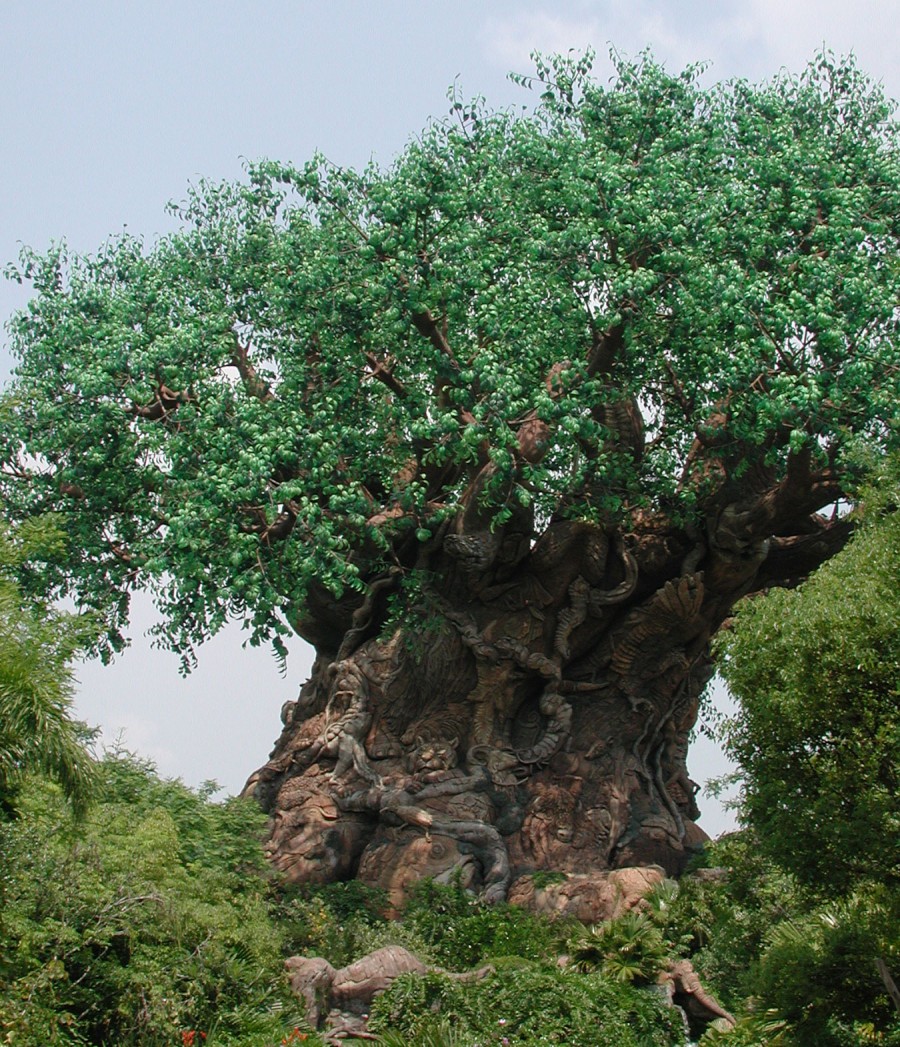 Animal Kingdom Large Hidden Mickey