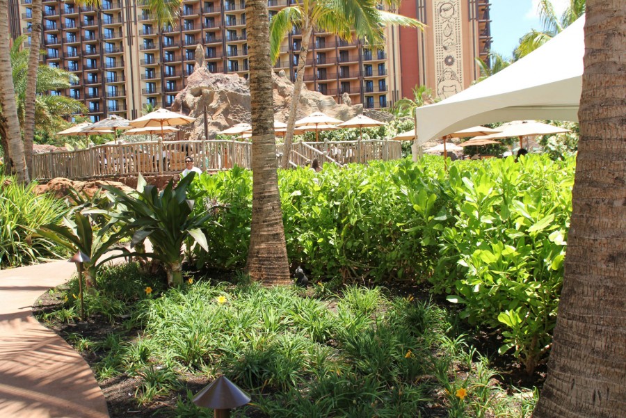 Stingray Pool Hidden Menehune