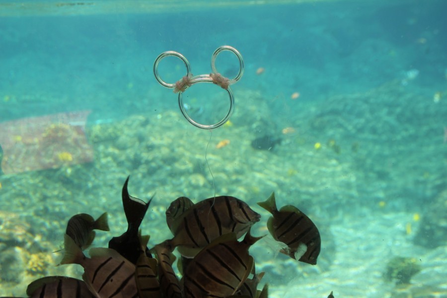Aulani Underwater Hidden Mickey 