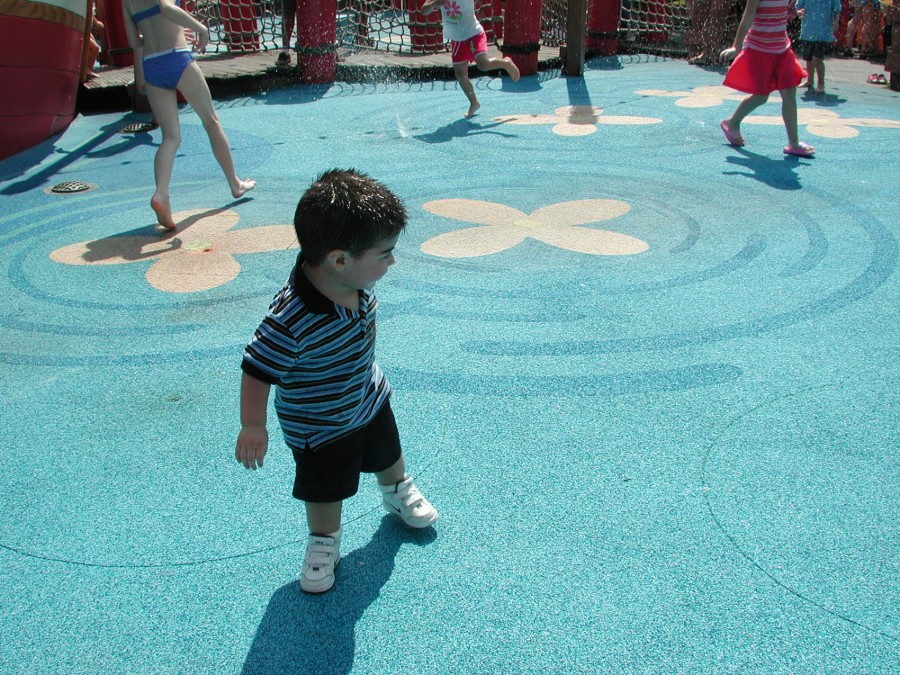 Donald's Boat Hidden Mickey