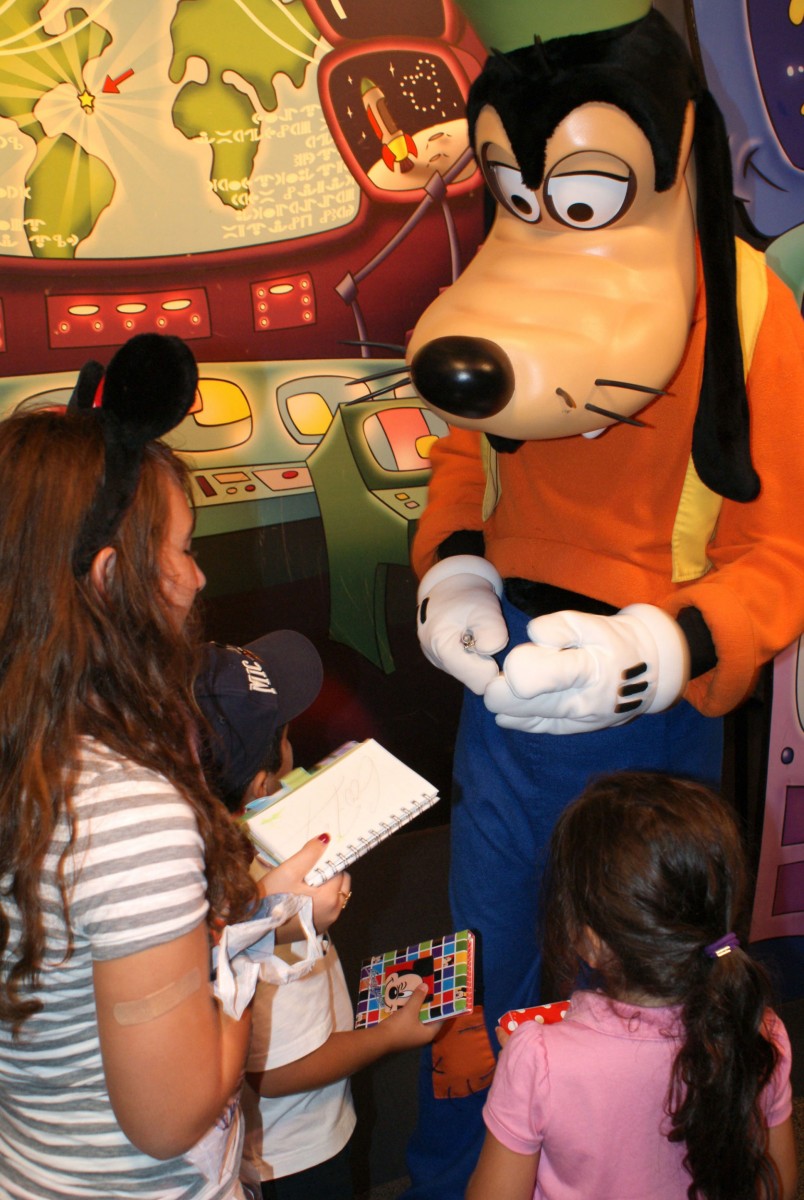 Innoventions Backdrop Hidden Mickey