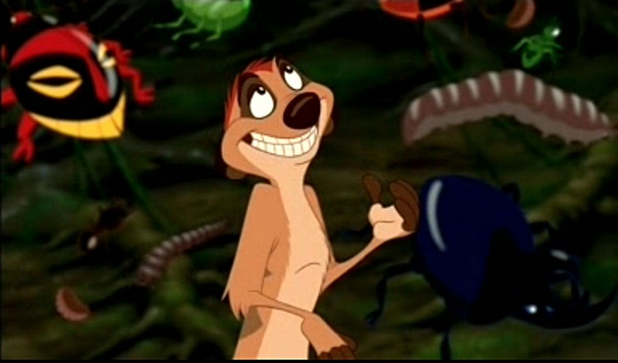 Lion King Hidden Mickey Bug 