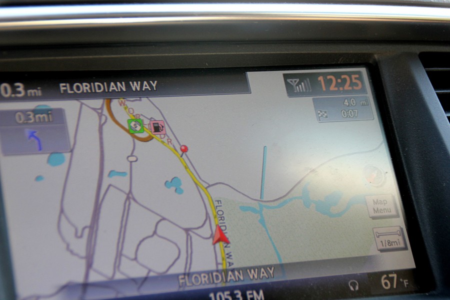 The Magic Kingdom Hidden Mickey