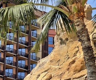 Aulani Volcano Slide Hidden Mickey