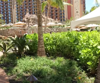 Stingray Pool Hidden Menehune