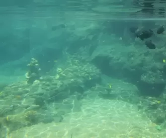 Rainbow Reef Hidden Menehunes