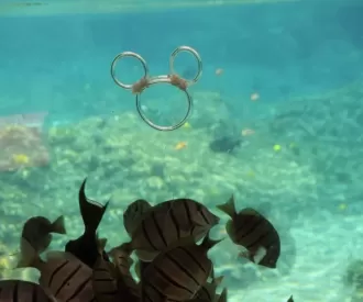 Aulani Underwater Hidden Mickey 