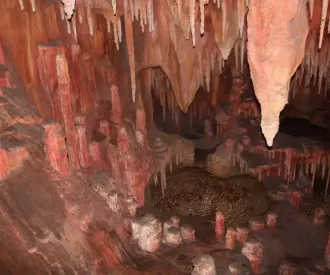 Big Thunder Mountain Railroad Hidden Mickey