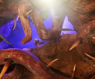 Splash Mountain Briar Patch Store Hidden Winnie The Pooh