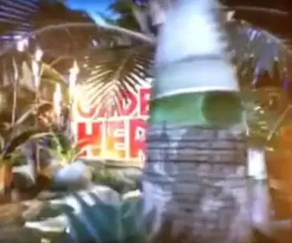 Captain Cook's at Disney's Polynesian Resort Hidden Mickey