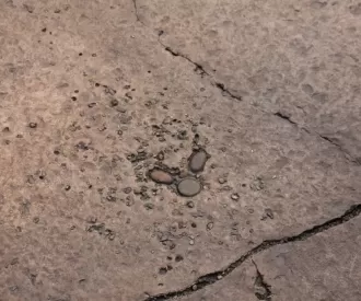 Fantasyland Hidden Oswald