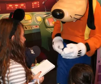 Innoventions Backdrop Hidden Mickey