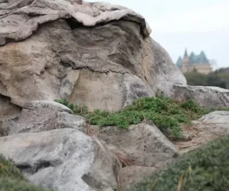 Epcot Japan Pavilion Rock Hidden Mickey