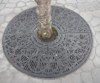 Epcot Japan Pavilion Tree Base Hidden Mickey