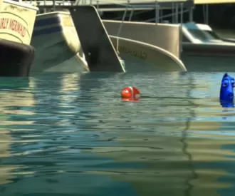 Finding Nemo Hidden Zip-a-Dee-Doo-Dah reference