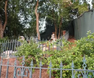 The Haunted Mansion Hidden Mr. Toad