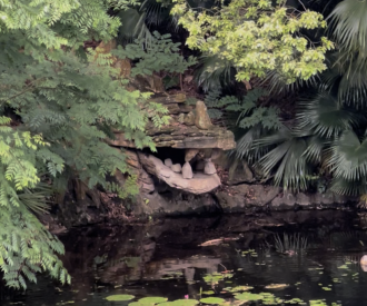 Did you know there’s a Hidden Dragon at Animal Kingdom?