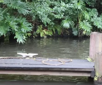 Swiss Family Treehouse Hidden Mickey