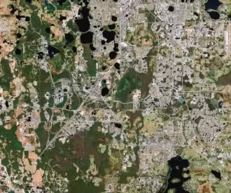 Mickey’s Forest Largest Hidden Mickey