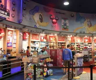 Mouse Gear Hidden Mickey