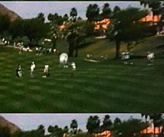 Golf Ball Hidden Mickey