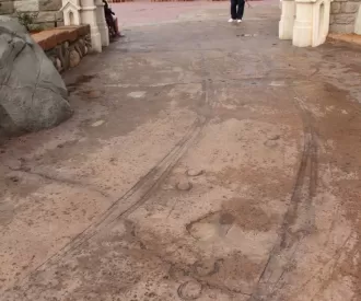 Fantasyland Horse Hoof Tracks Hidden Mickey