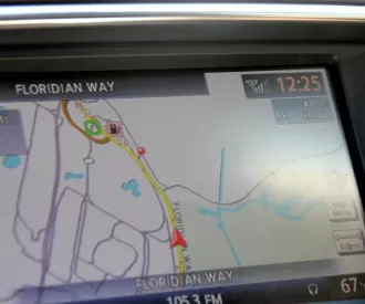 The Magic Kingdom Hidden Mickey