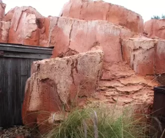 Big Thunder Mountain Railroad Hidden Tinker Bell