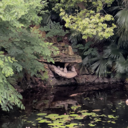 Did you know there’s a Hidden Dragon at Animal Kingdom?