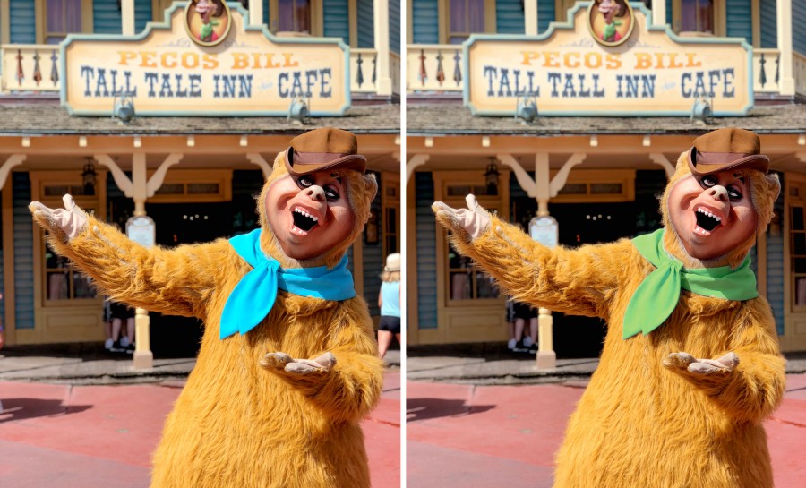 What's Different: Wendell at Frontierland 